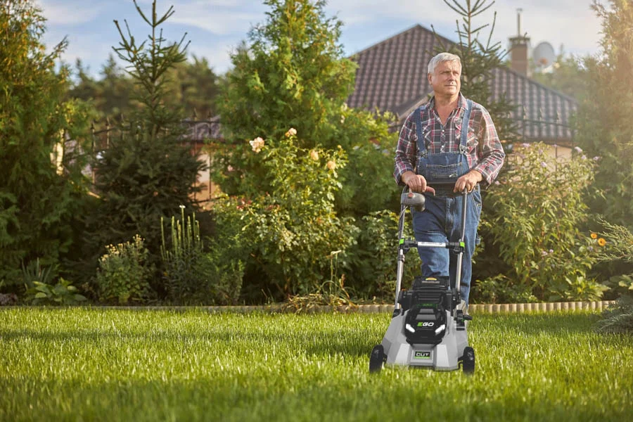 electric law mower